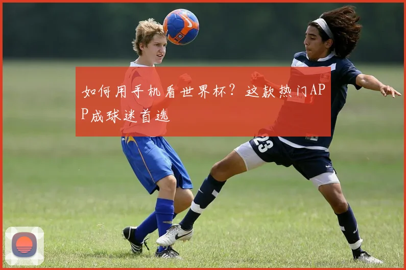 如何用手机看世界杯？这款热门APP成球迷首选