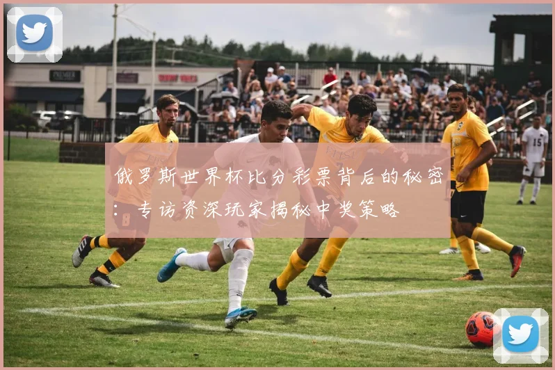 俄罗斯世界杯比分彩票背后的秘密：专访资深玩家揭秘中奖策略