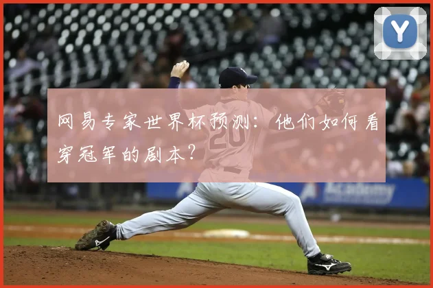 网易专家世界杯预测：他们如何看穿冠军的剧本？