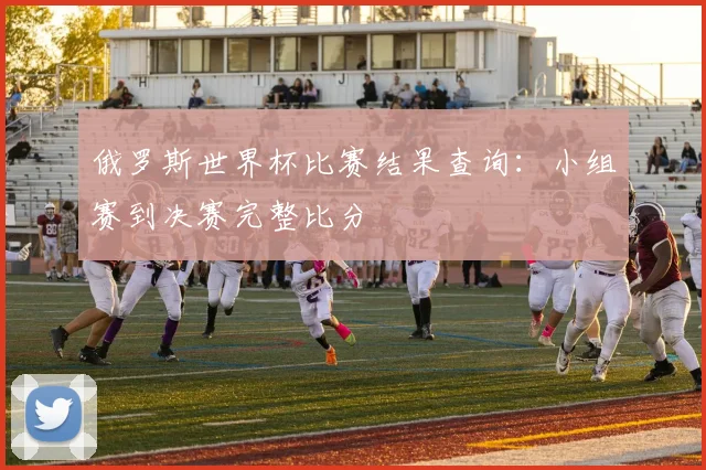 俄罗斯世界杯比赛结果查询：小组赛到决赛完整比分
