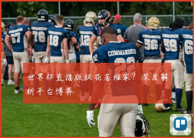 世界杯直播版权花落谁家？深度解析平台博弈