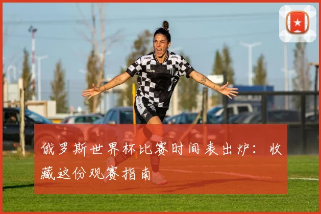俄罗斯世界杯比赛时间表出炉：收藏这份观赛指南