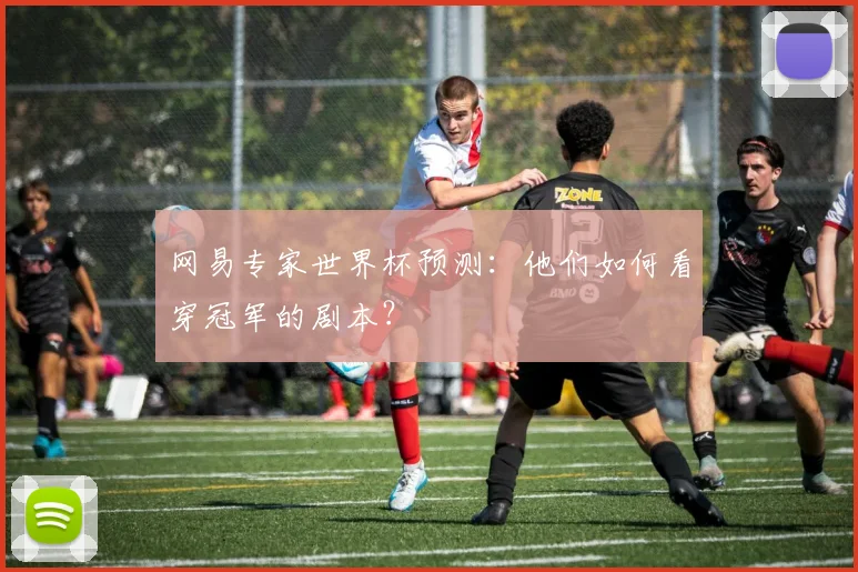 网易专家世界杯预测：他们如何看穿冠军的剧本？