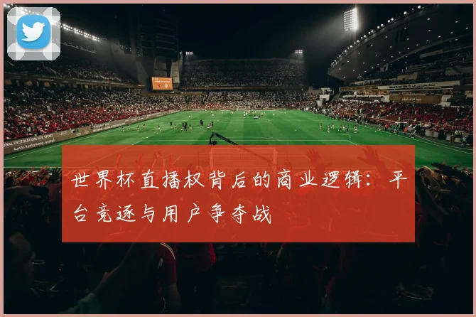 世界杯直播权背后的商业逻辑：平台竞逐与用户争夺战