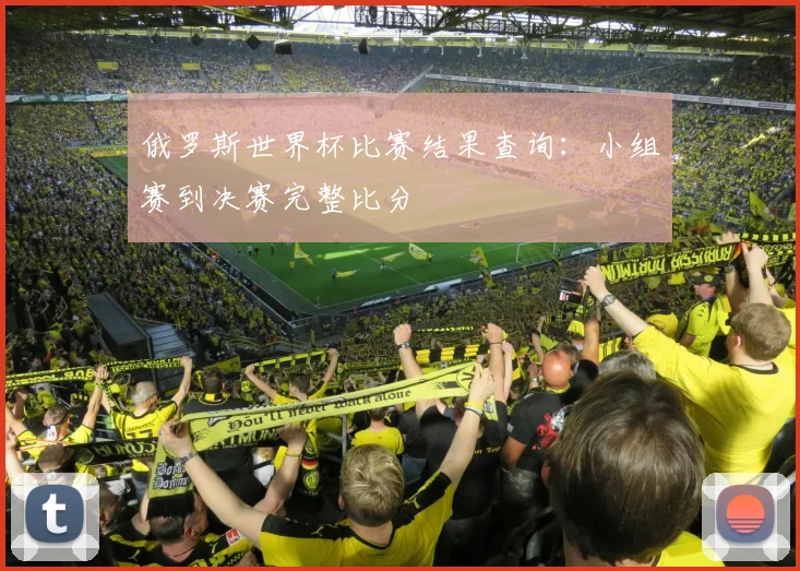 俄罗斯世界杯比赛结果查询：小组赛到决赛完整比分