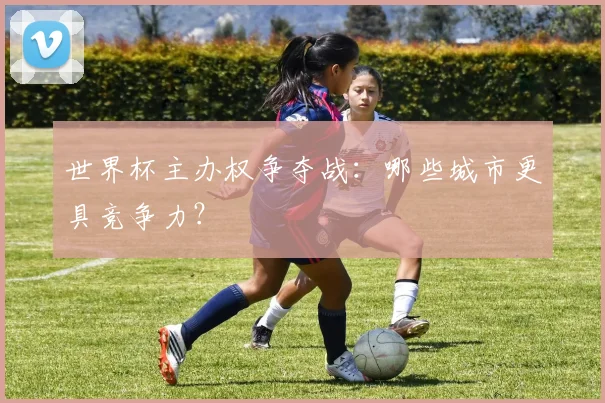 世界杯主办权争夺战:哪些城市更具竞争力?